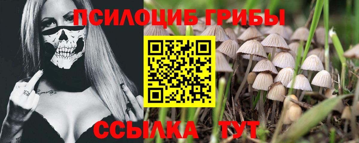Псилоцибиновые грибы мухоморы Димитровград