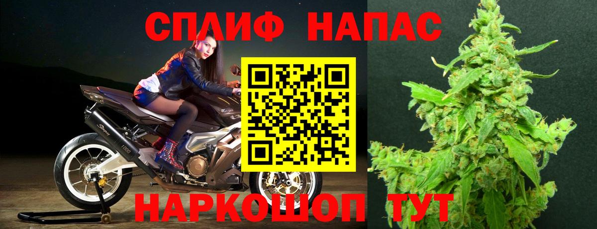 Каннабис OG Kush Димитровград